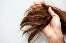 Средства против сечения волос