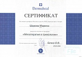 Сертификат Бейтельспахер (Шарова) Марина Анатольевна6